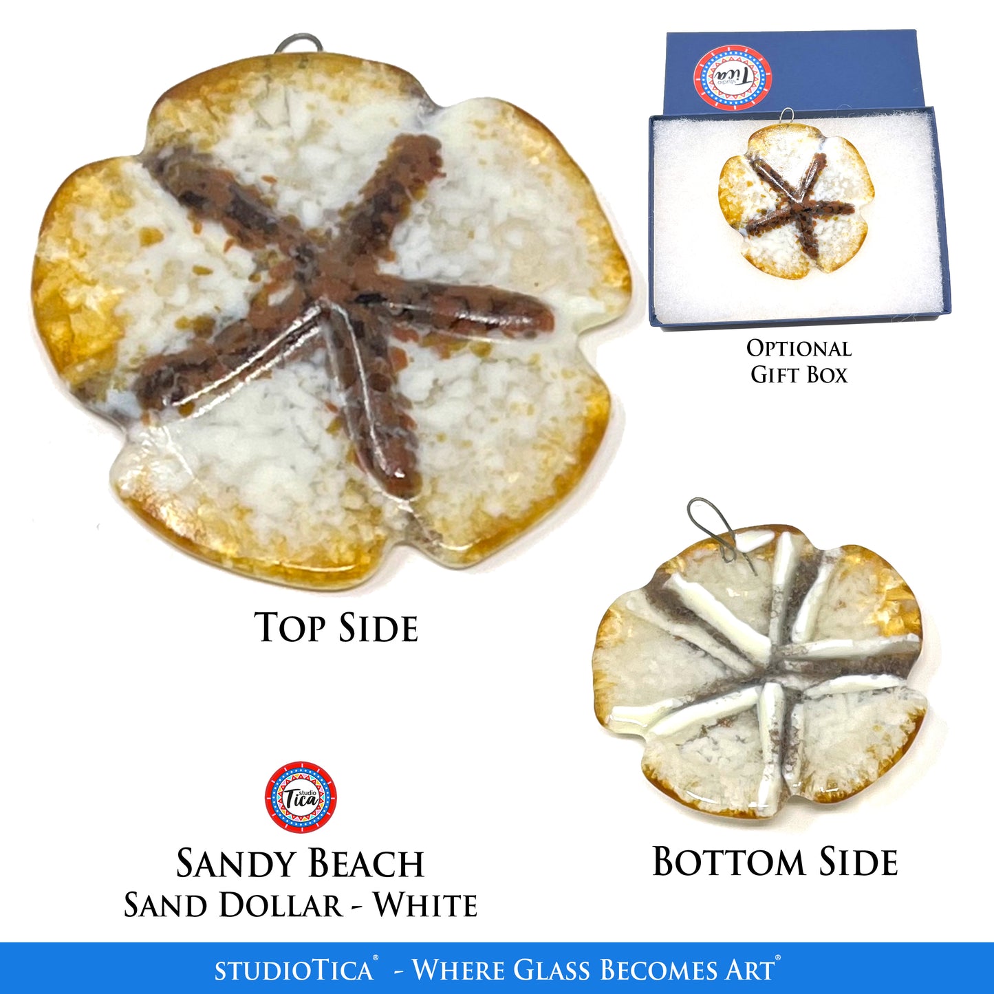 studioTica® Sand Dollar - Group 1