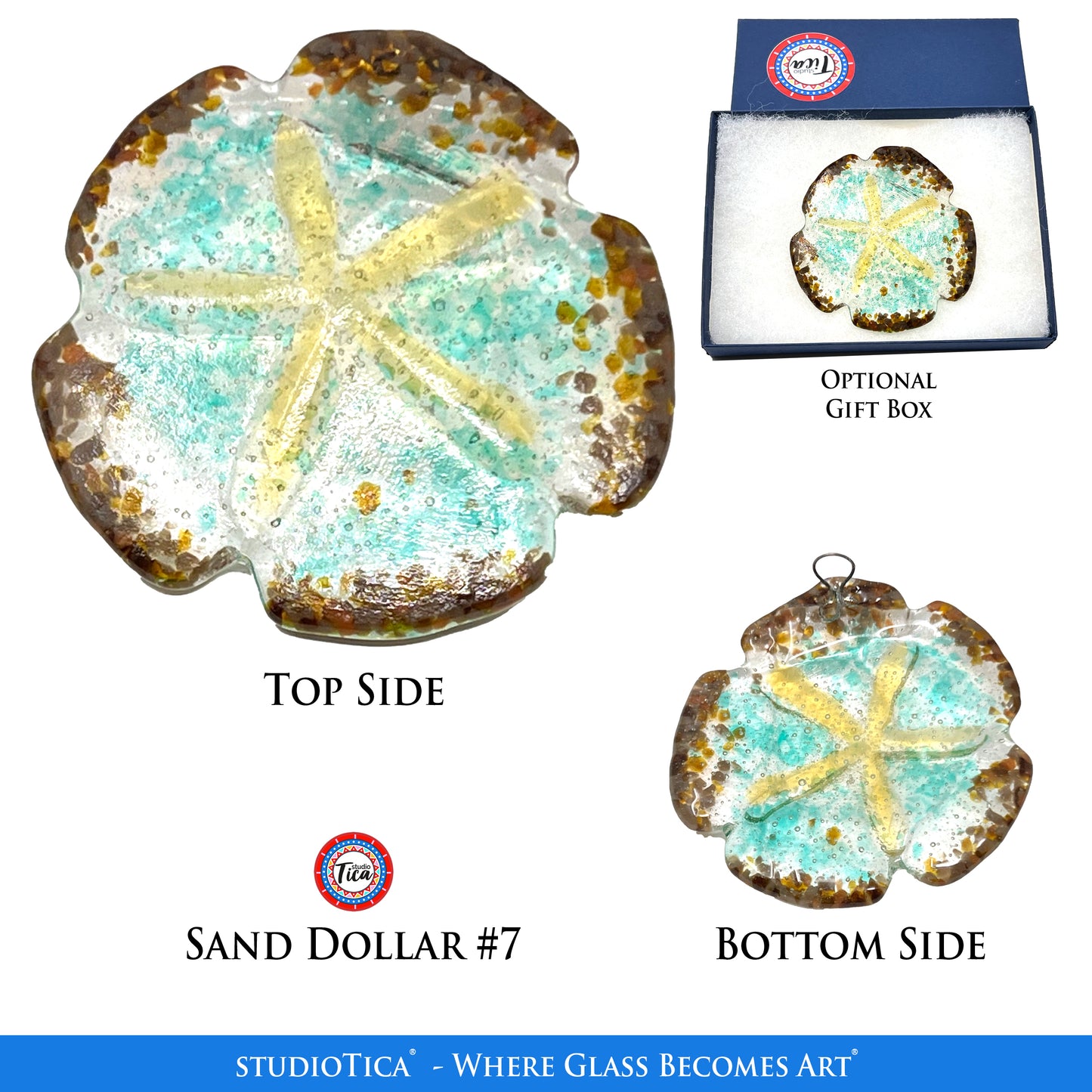 studioTica® Sand Dollar - Group 1