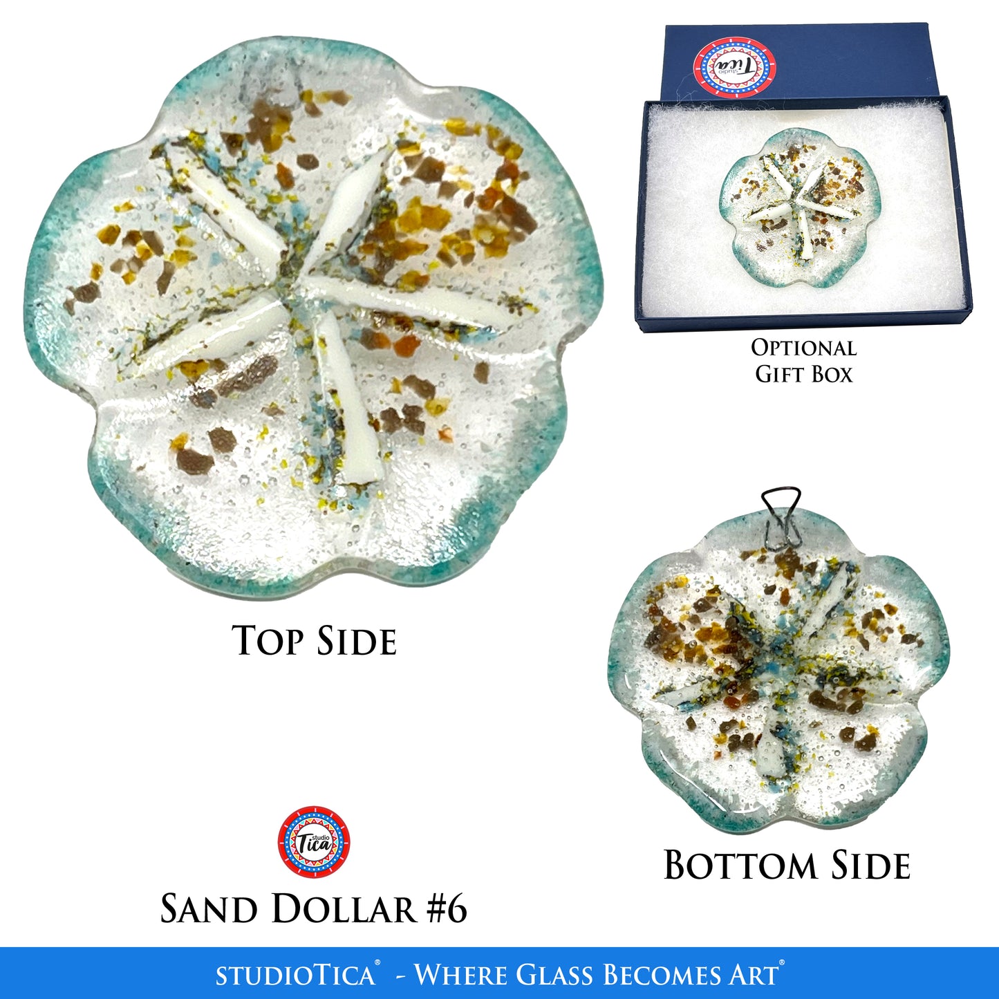 studioTica® Sand Dollar - Group 1